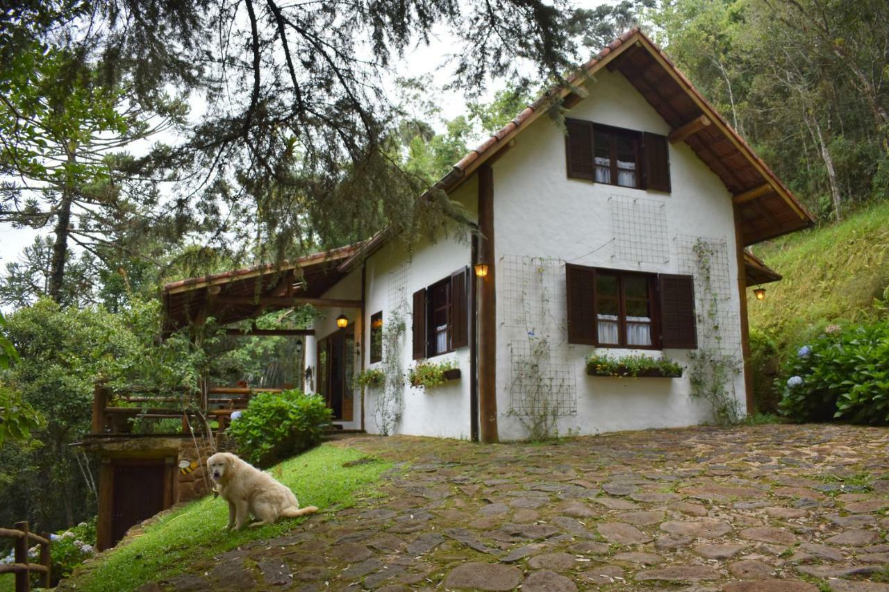 Chalet Da Hortensias Villa Cunha Exterior photo
